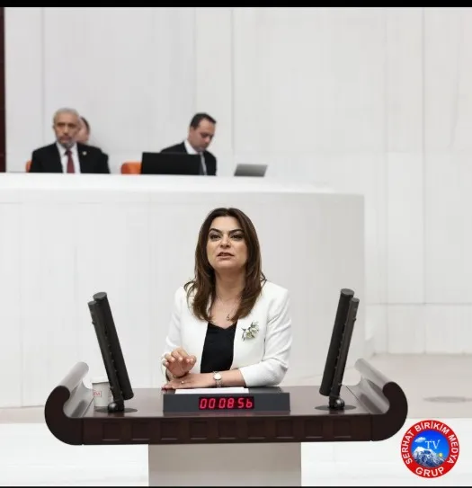 DEM Partili Koçyiğit’ten Bozkale Taş Ocağı Tepkisi