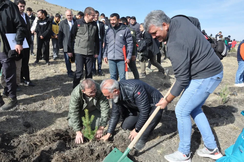 Vali Polat, gazetecilerle fidan dikti, fotoğraf çekti