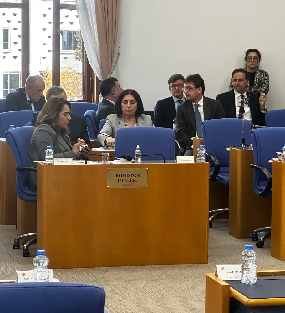 Özgür Erdem İncesu Plan Bütçe Komisyonunda konuştu;