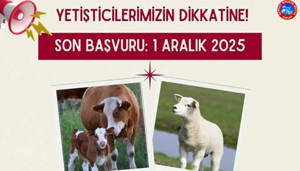 Çifçilere müjde: Hayvancılık destek başvuruları başladı