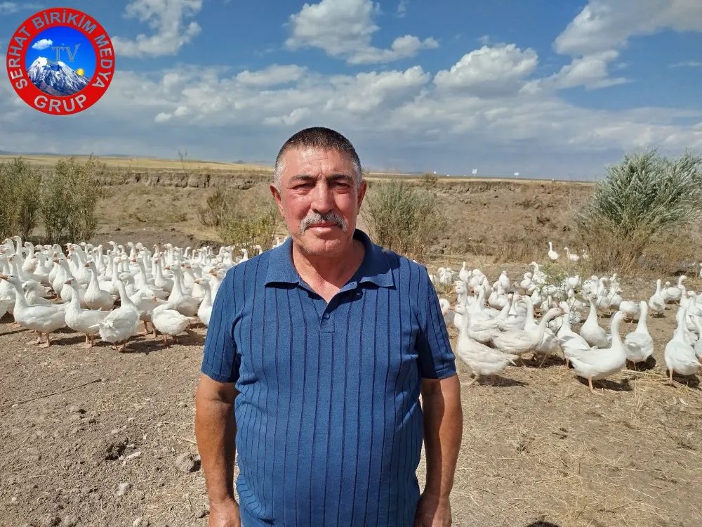 Kars’ta Kazlar Köy Sokaklarının Neşesi Oldu