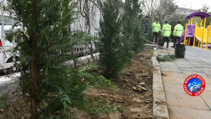  Yeşil Bir Esenyurt İçin Çalışıyorlar