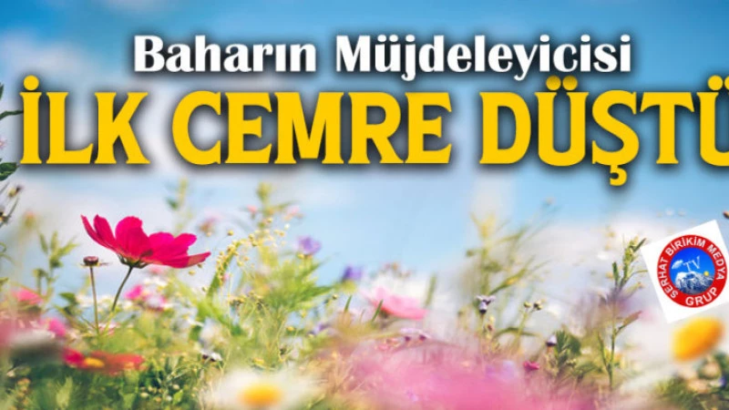 İlk Cemre Düştü