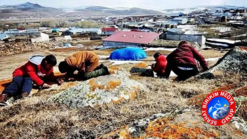 Ardahan daki Çocuklar kayalıklarda oluşan doğal kınaları ellerine yakarak eğleniyorlar